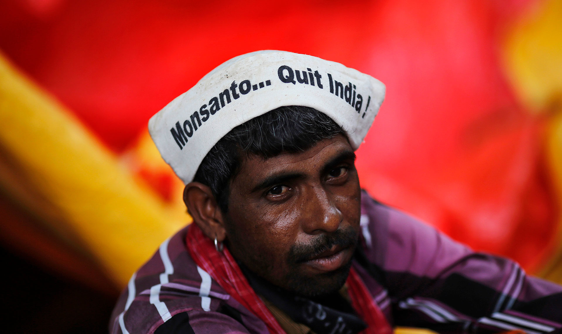 Monsanto India