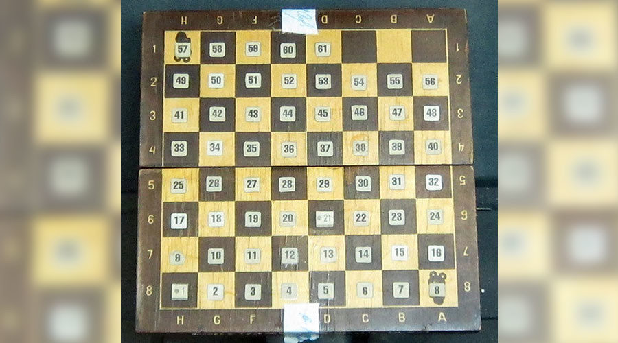 Click to enlarge The chessboard found in Pichushkin's house