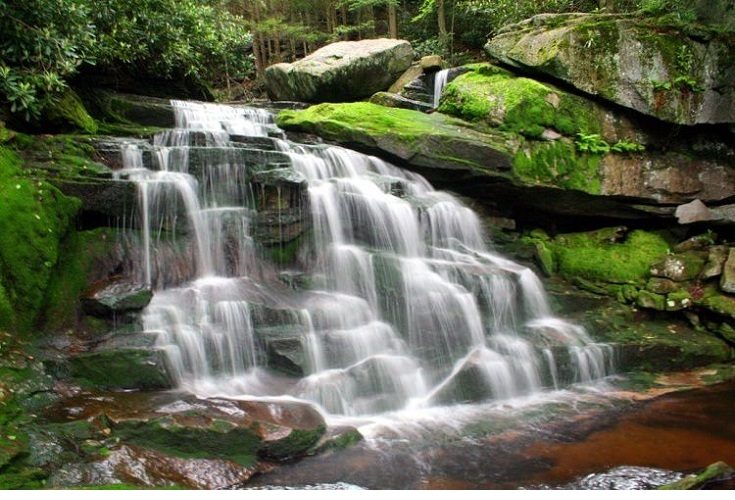 Click to enlarge nature sounds effect brain