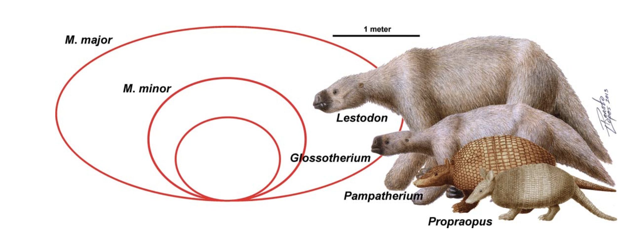 Click to enlarge giant sloths