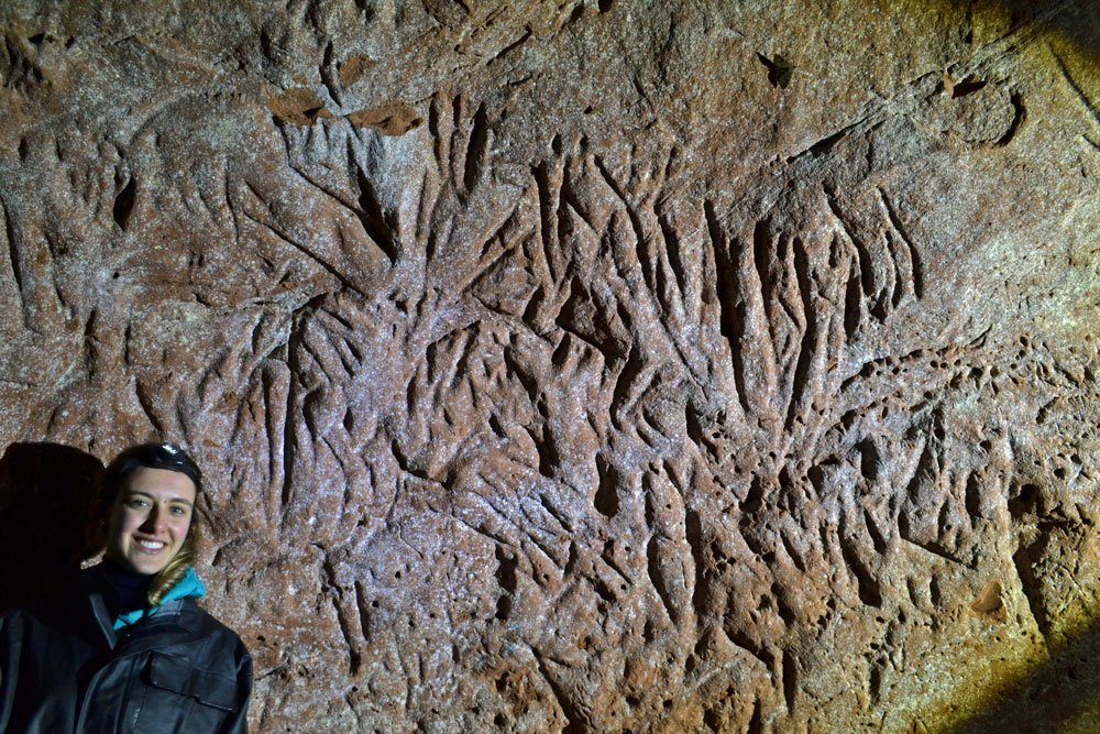 Click to enlarge claw grooves