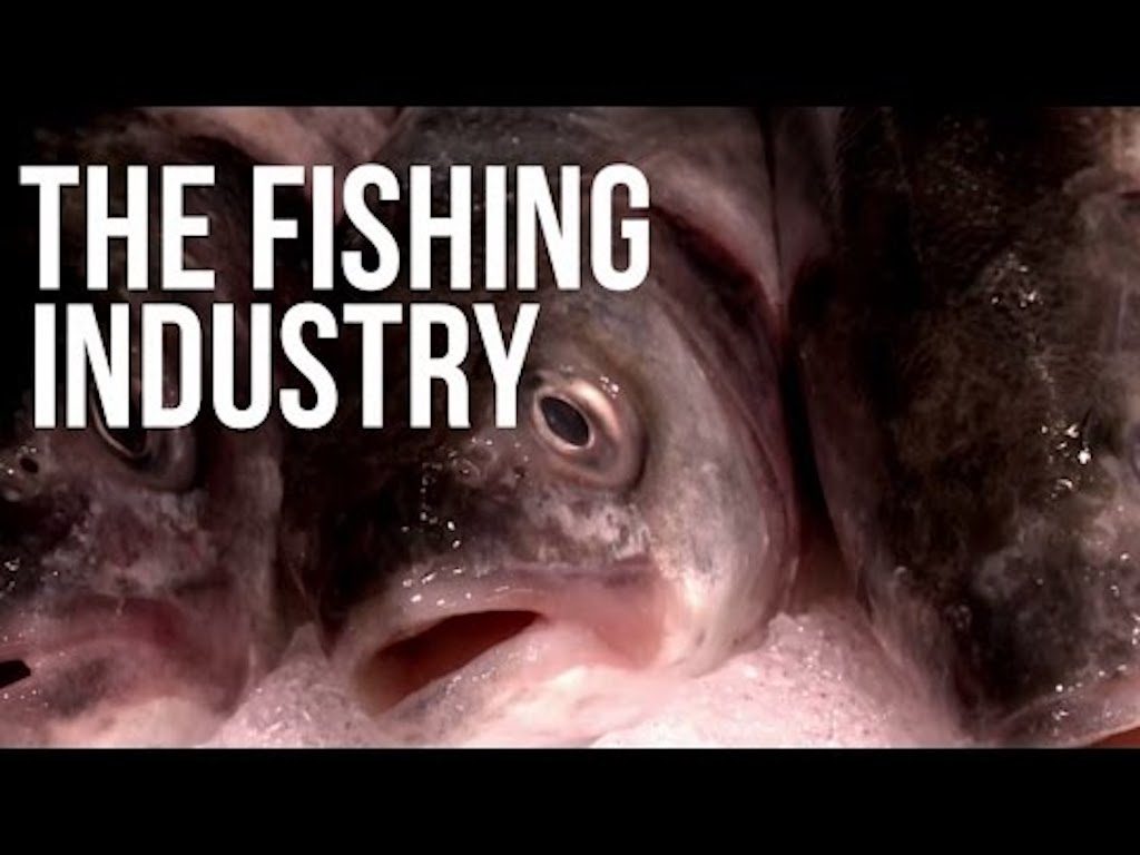 fish industry