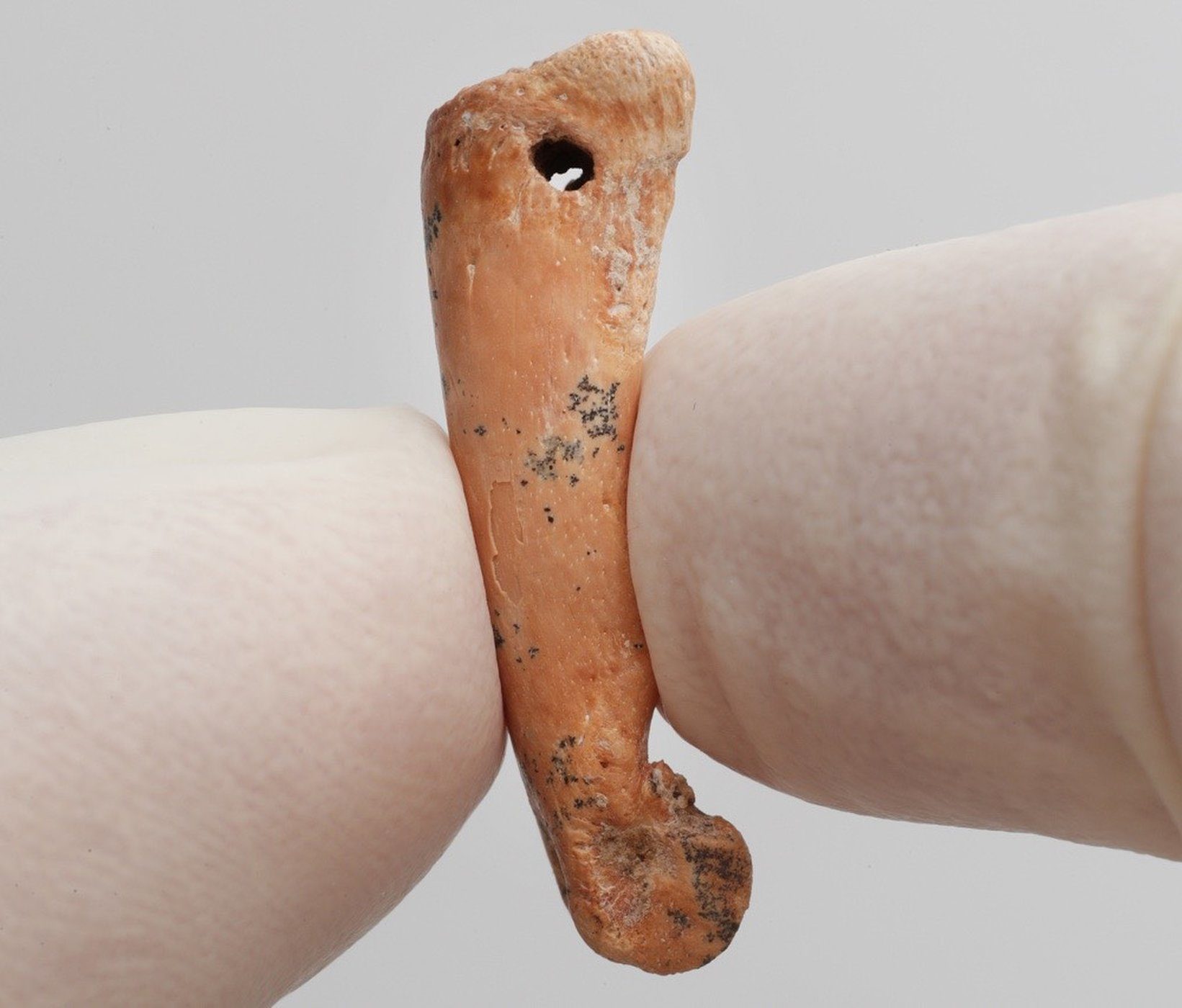 Click to enlarge ice age jewelry