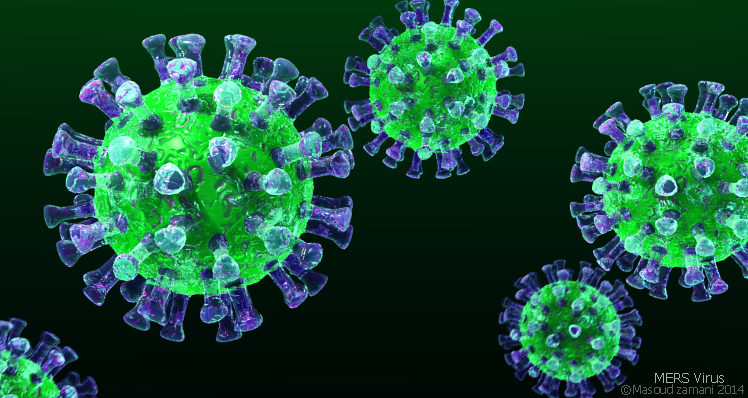 MERS coronavirus