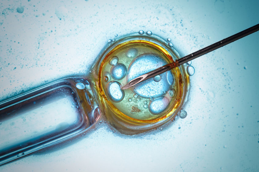 antimalarial probiotoics