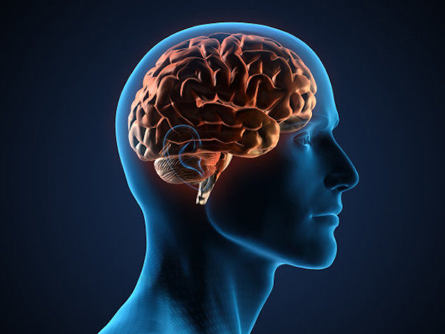 Click to enlarge Brain remapping