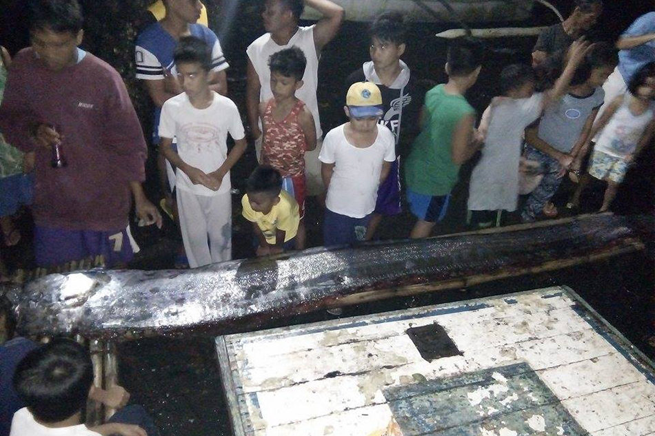 oarfish