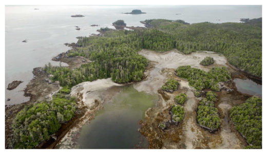 Click to enlarge Triquet Island