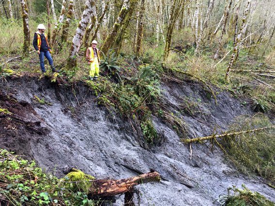 Landslide near Oso, Washington