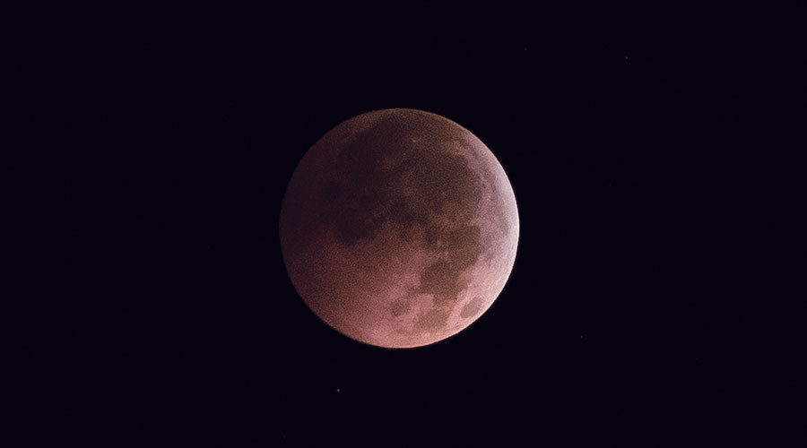 pink moon