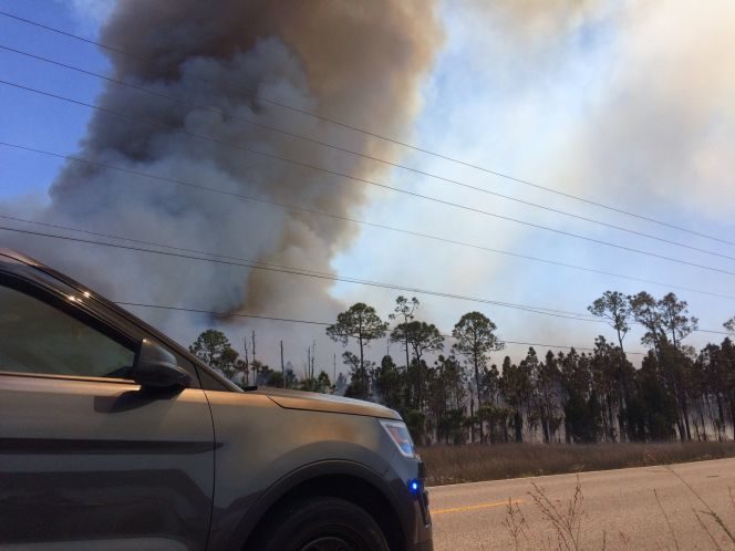 Wildfire