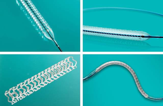 absorb stent