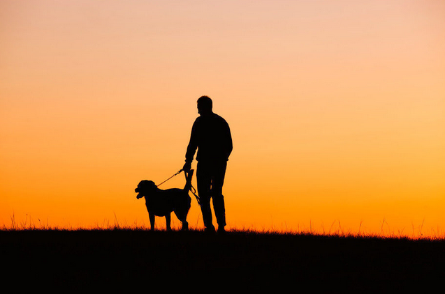 pet loss