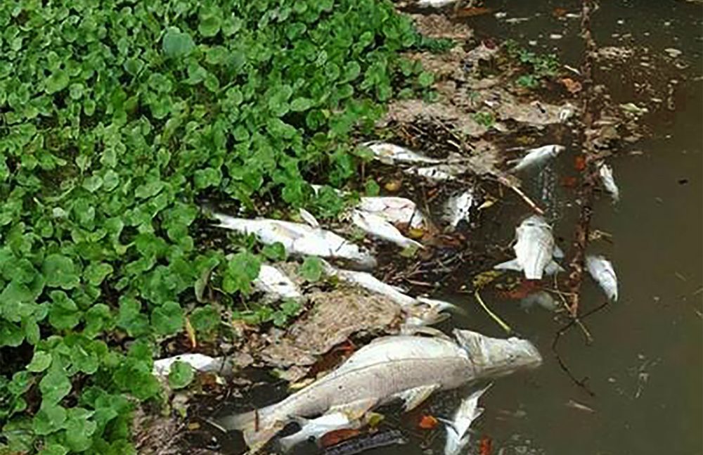 Coast Guard officers and staff from the National System of Conservation Areas collected samples from the river and submitted them for lab analyses.  