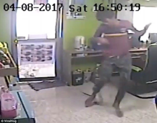 Click to enlarge In video of the shocking encounter, the slithering creature appears to fly through the air through a crack in the door