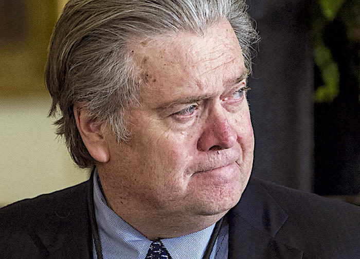 steve Bannon