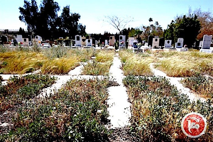 Unmarked cemetery