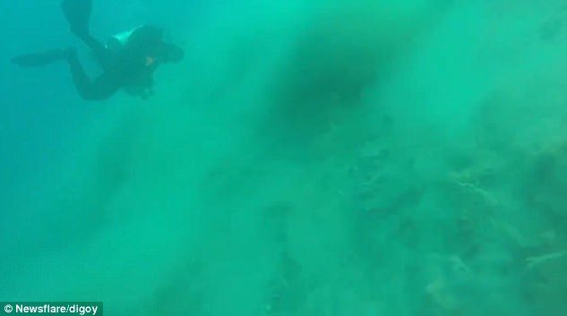 Ocean plantlife can be seen shaking erratically as the ocean floor shifts beneath it. The divers were planning on a deep training dive when they were caught unaware by the earthquake on their descent