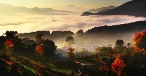 China