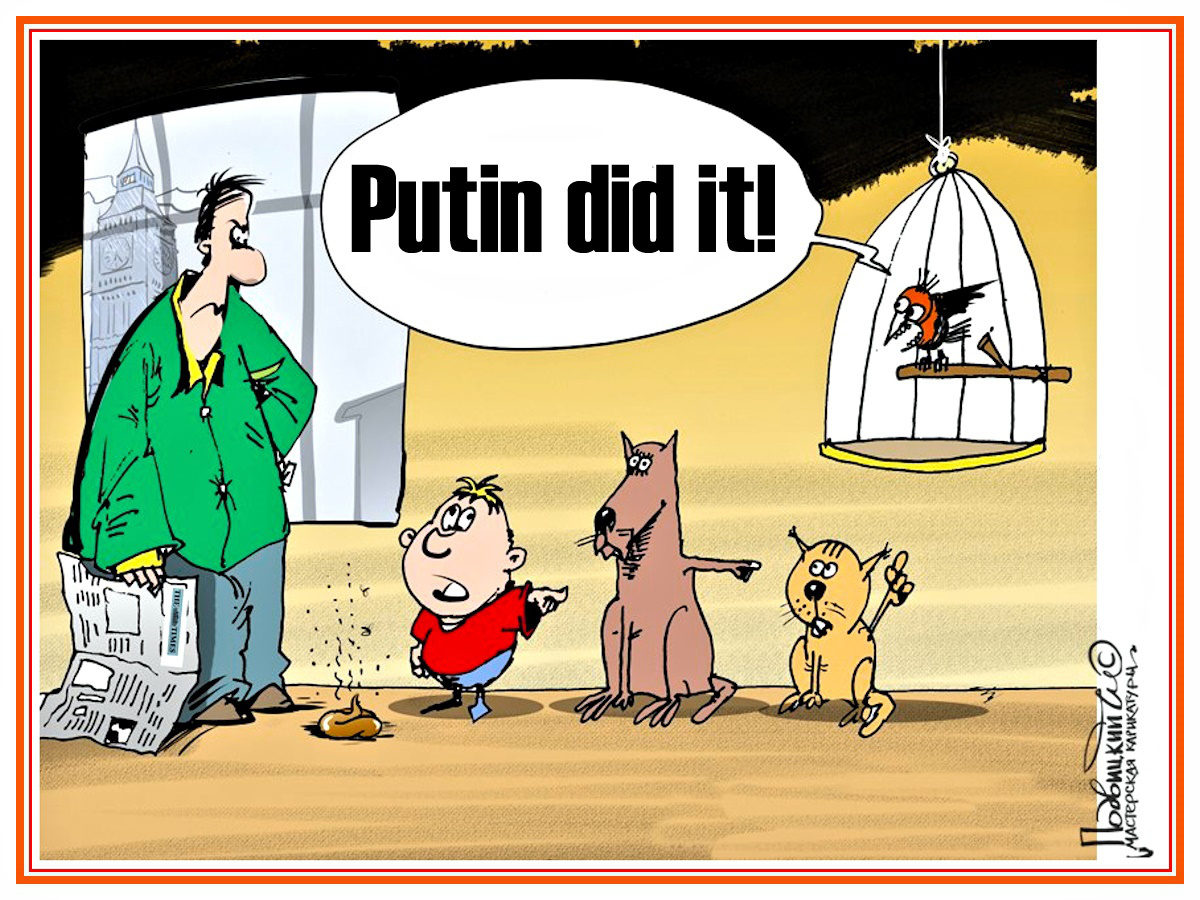 putin did it