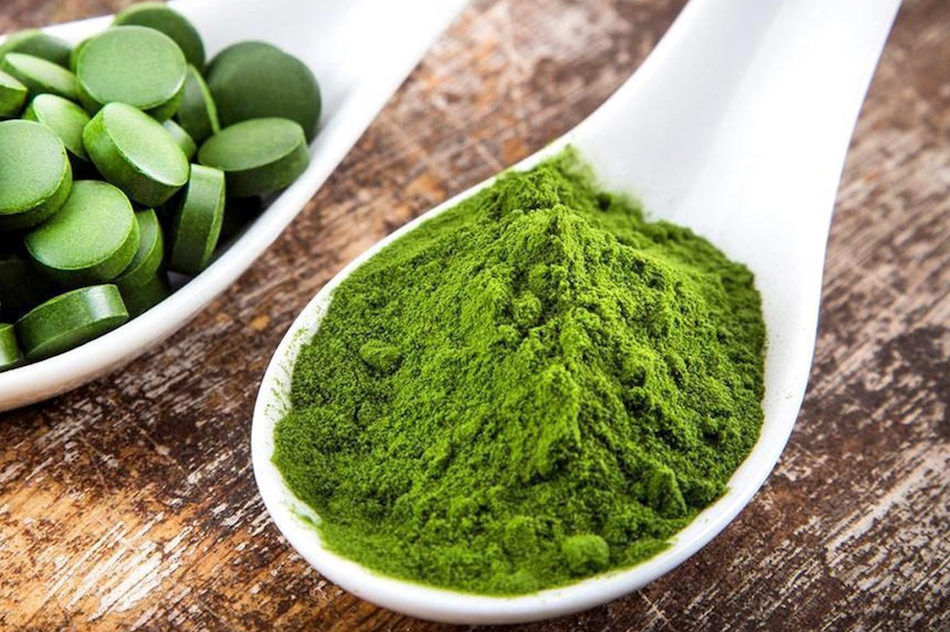chlorella