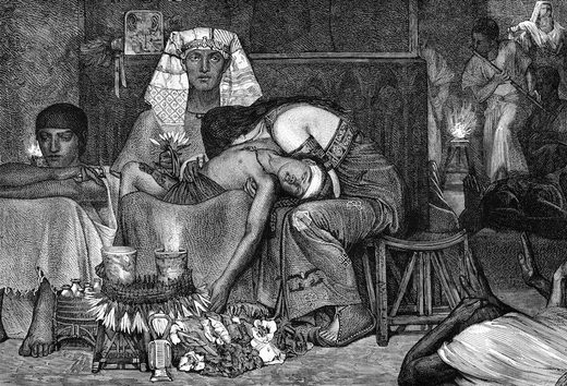 Ten possible explanations for the 'ten plagues of Passover' Ten possible explanations for the 'ten plagues of Passover'