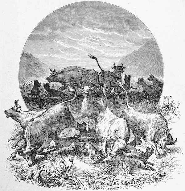 Click to enlarge beasts plague