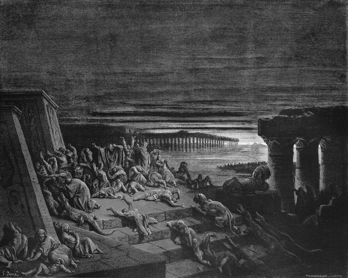 Click to enlarge Darkness plague