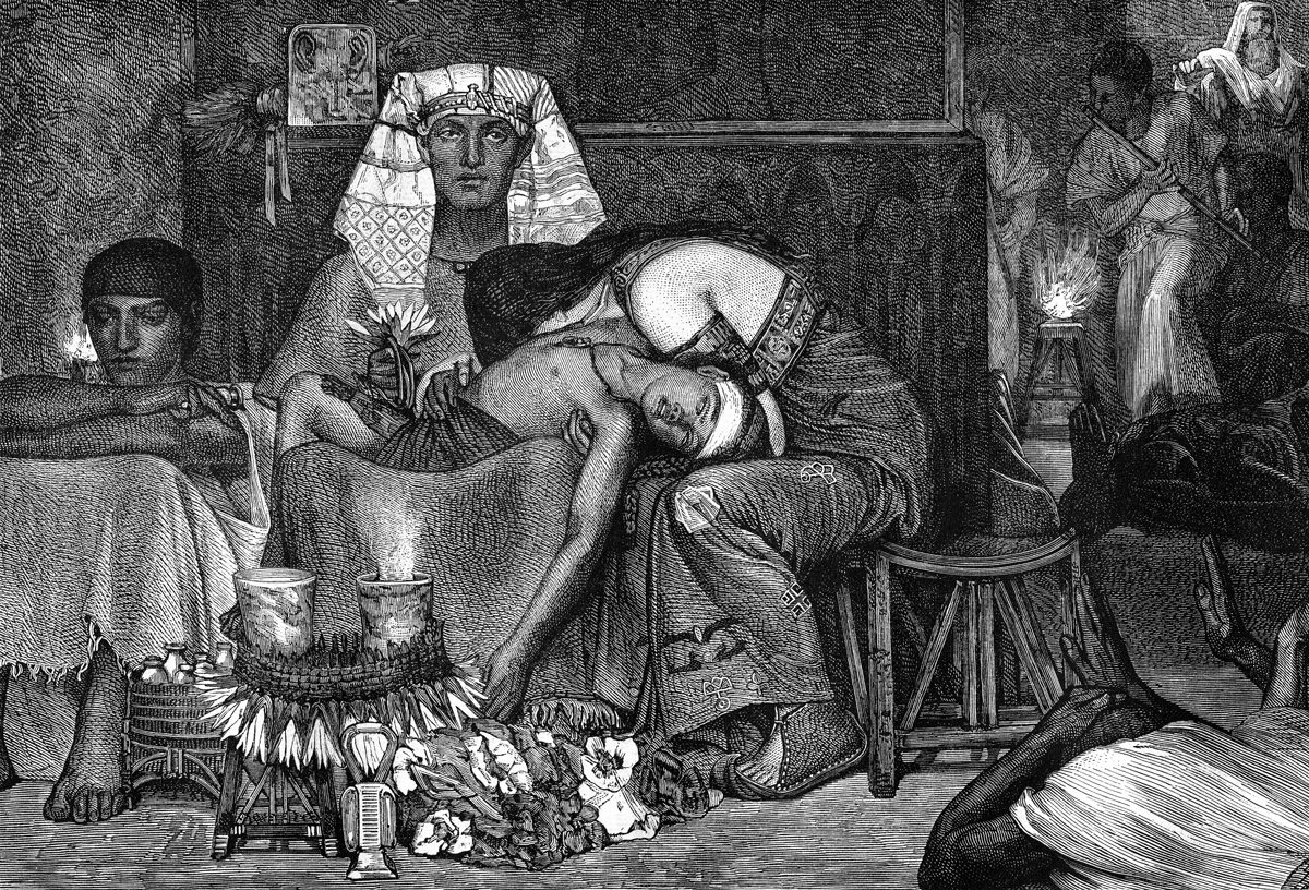 Click to enlarge Killing of the firstborn plague