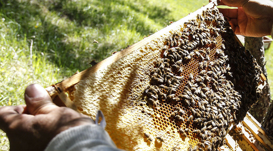 Beehive 