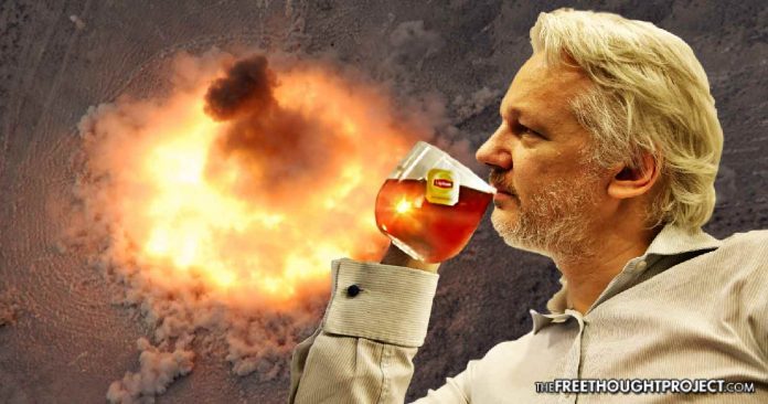 Wikileaks assange