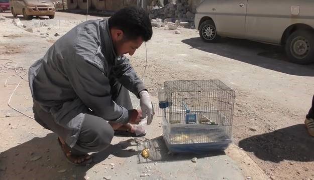 Syria chemical attack false flag Idlib
