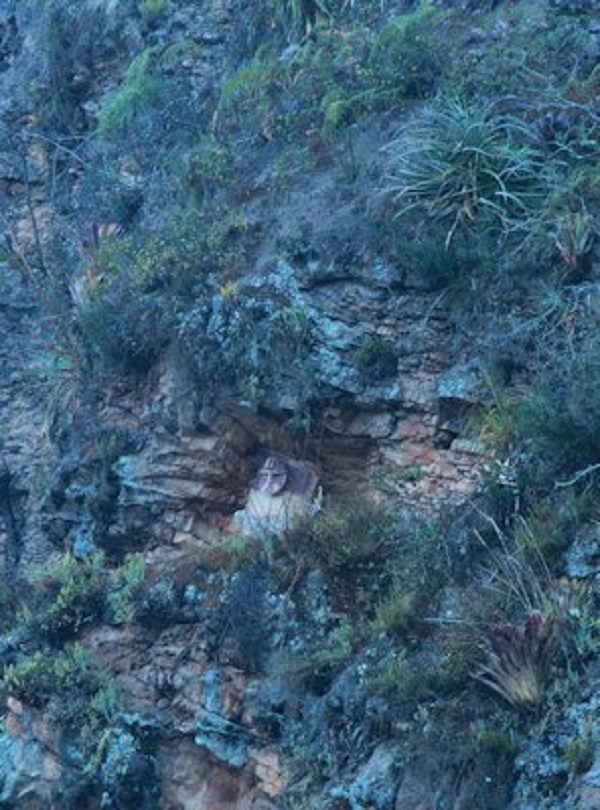Click to enlarge Lone sarcophagus at Karijia