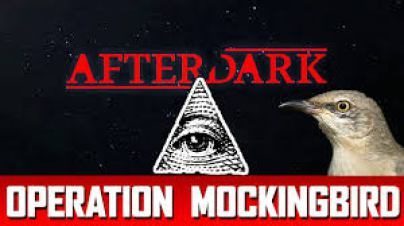 operation mockingbird