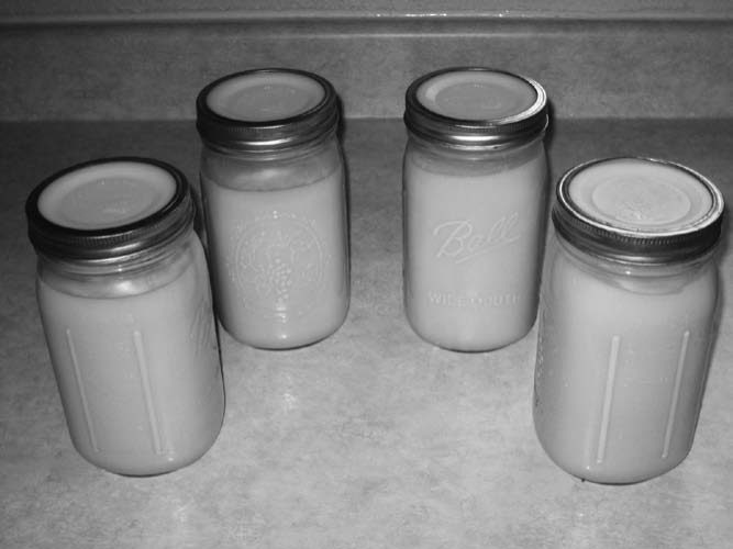 Click to enlarge Cooled, hardened tallow.
