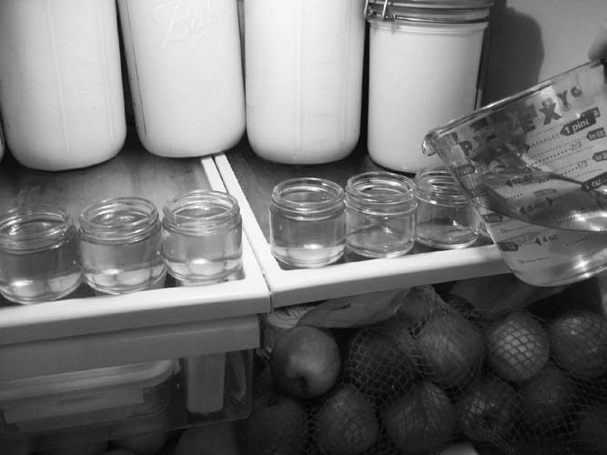 Tallow and olive oil mixture, in small jars.