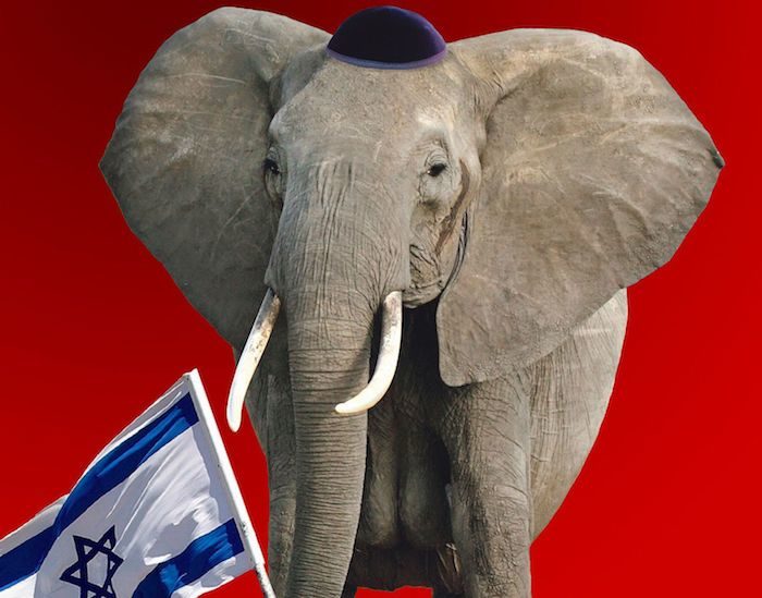 Jewish elephant