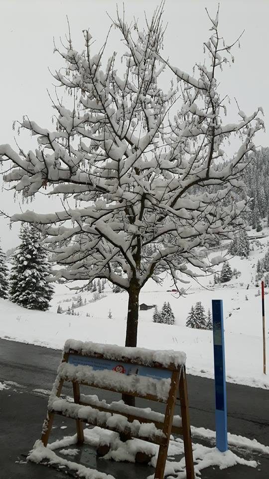 SNOW