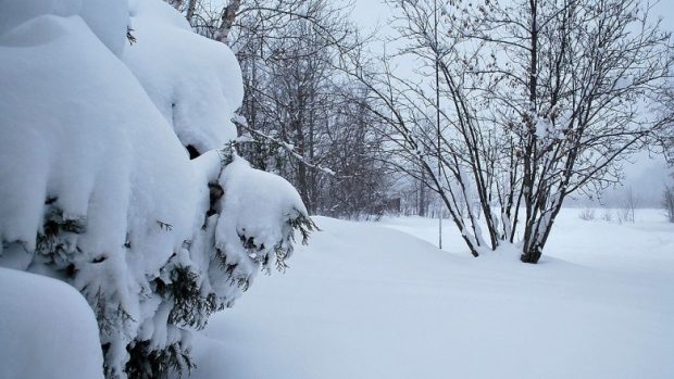 Click to enlarge A serious snowfall blanketed central and northern Saskatchewan with snow this weekend.