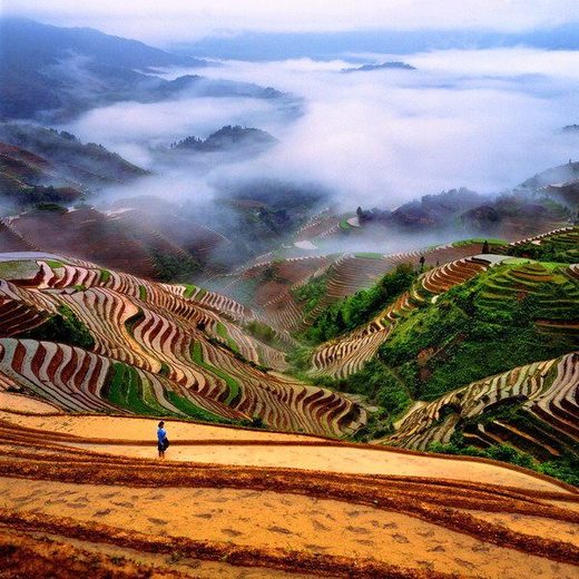 Click to enlarge Dragon's Backbone Rice Terraces, China