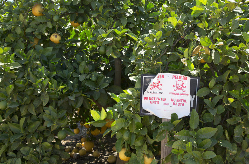 Click to enlarge pesticides