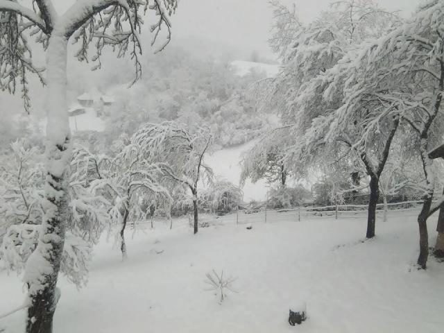 Click to enlarge snow