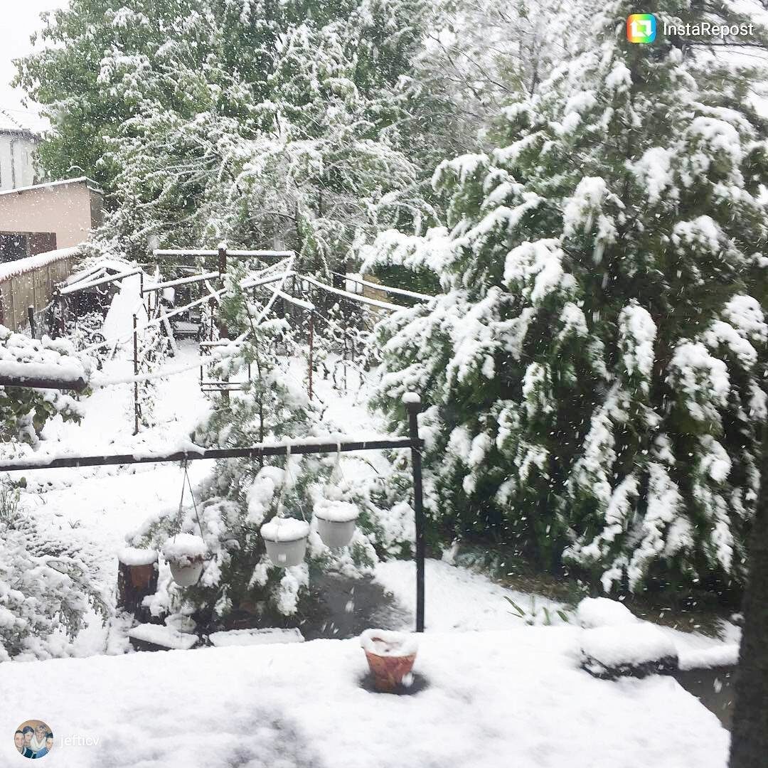 Click to enlarge SNOW