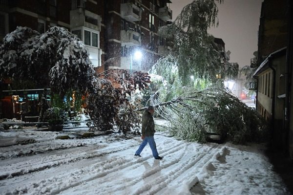Click to enlarge Trees down in Sarajevo