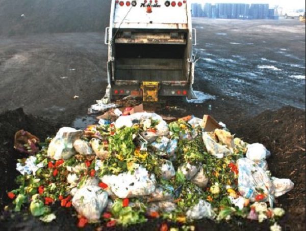 food waste