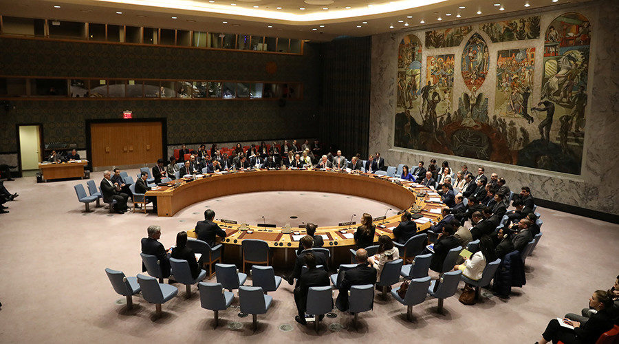 United Nations Security Council