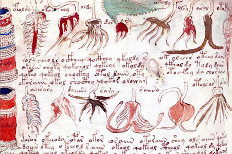 Click to enlarge Voynich manuscript