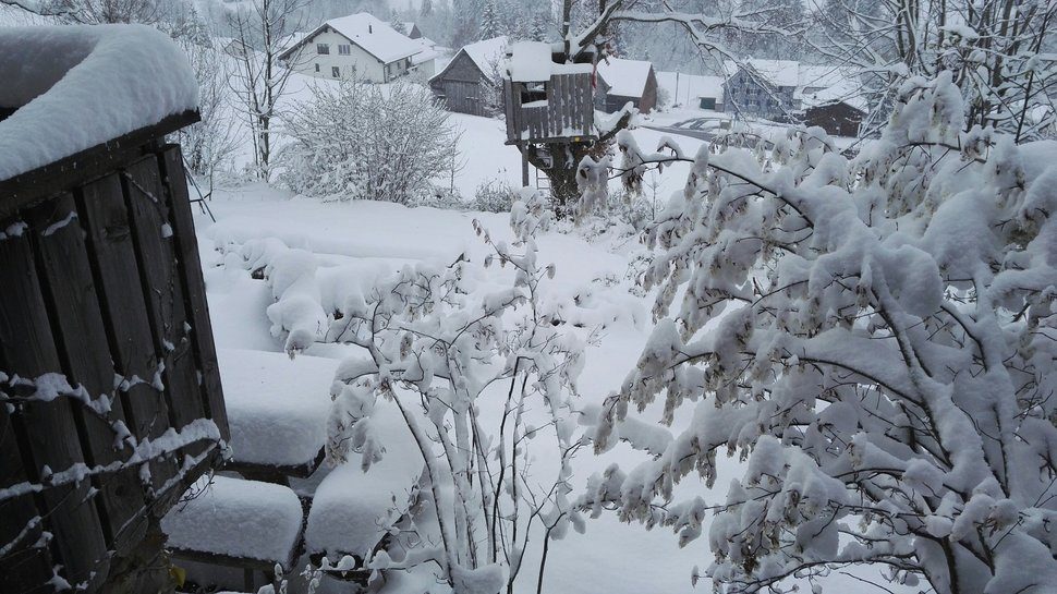 Spring in Switzerland 2017