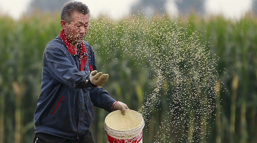 A farmer plants seeds in a corn field at a farm in Gaocheng