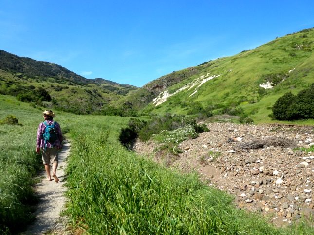 Click to enlarge nature, hiking, walking